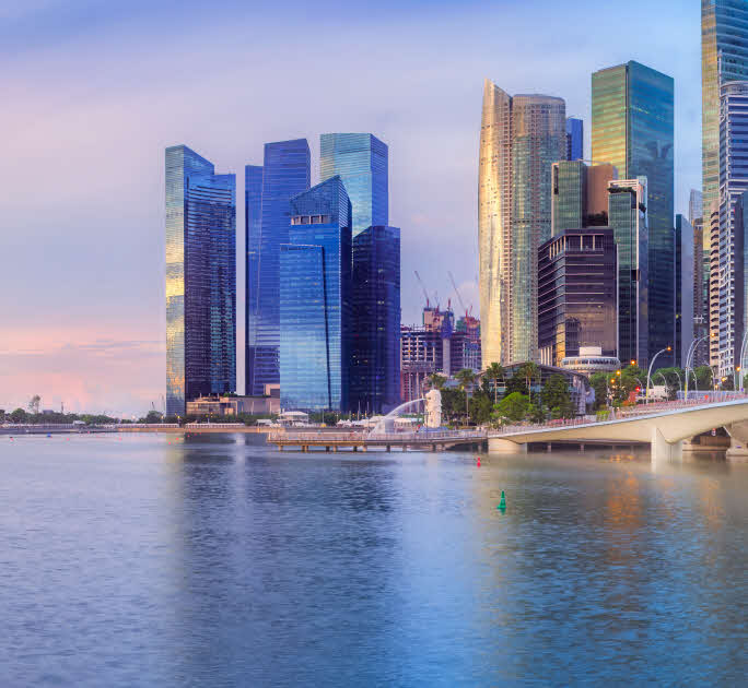 Financing Solutions - DBS Working Capital Loan
