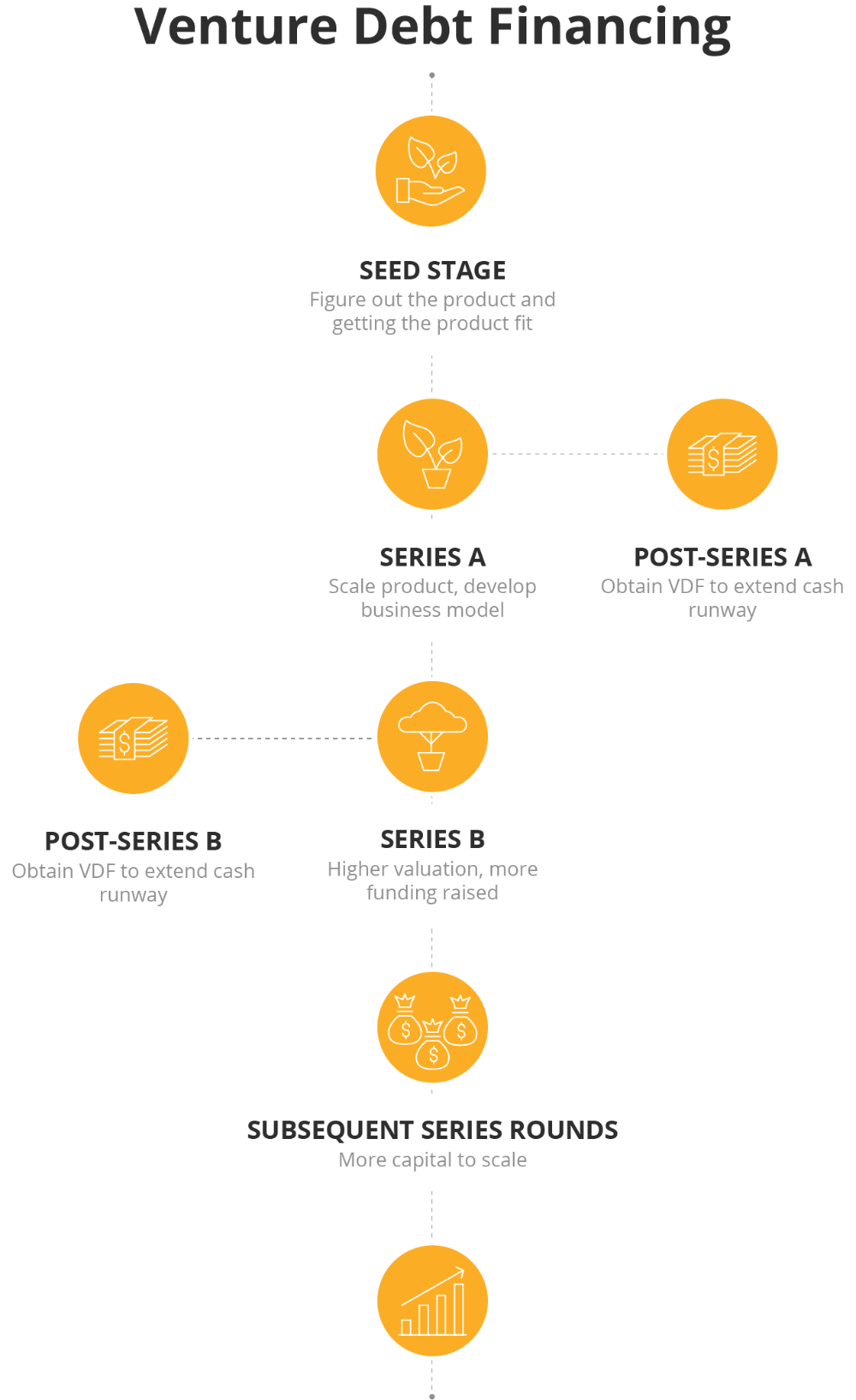 Venture Debt Financing