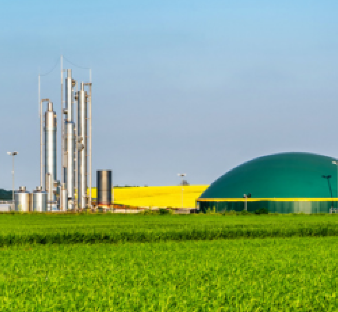 Sustainable feedstock the way forward for biofuels