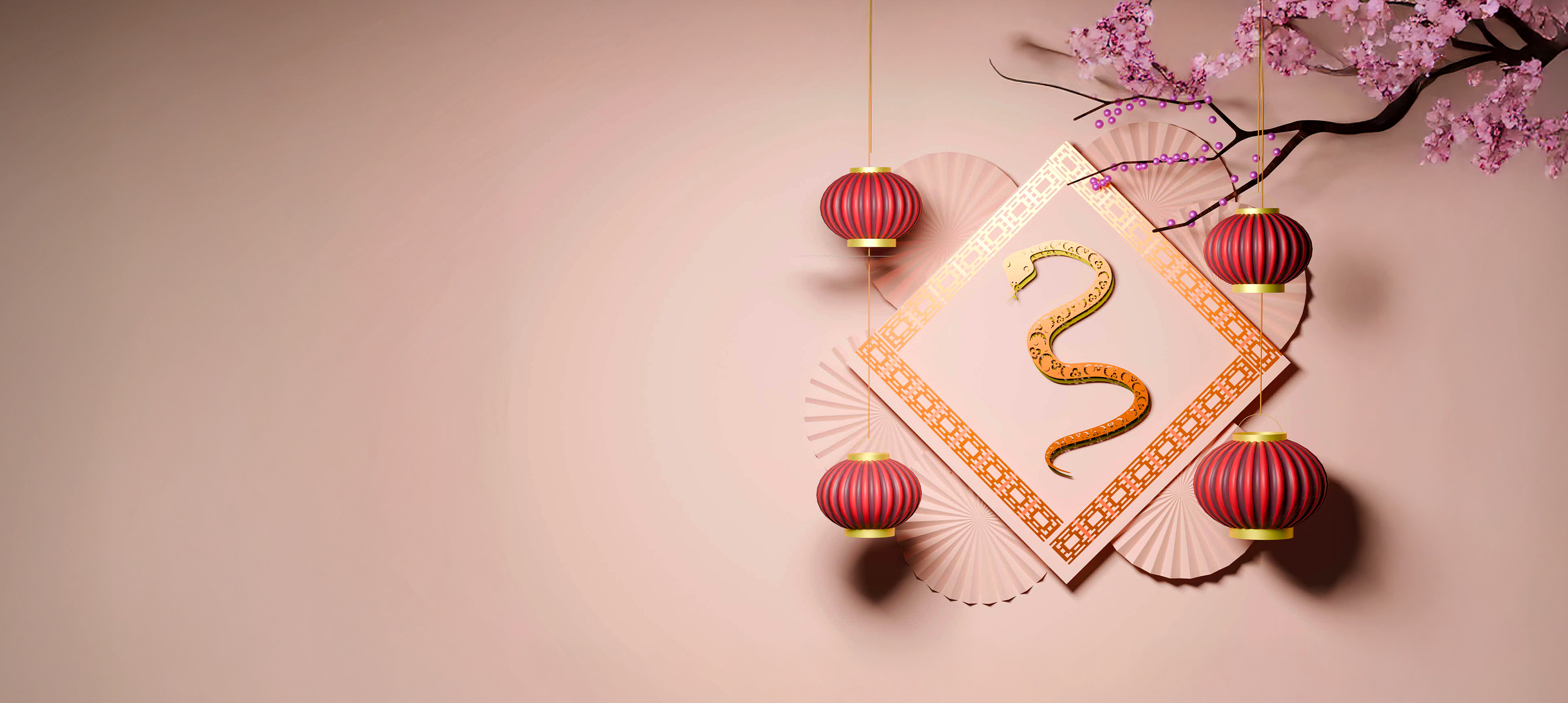 Financial spring cleaning in Year of the Snake